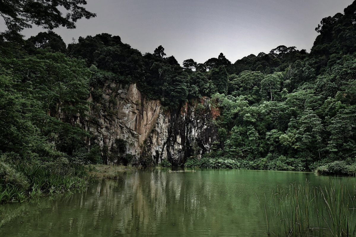 Bukit Timah Nature Reserve